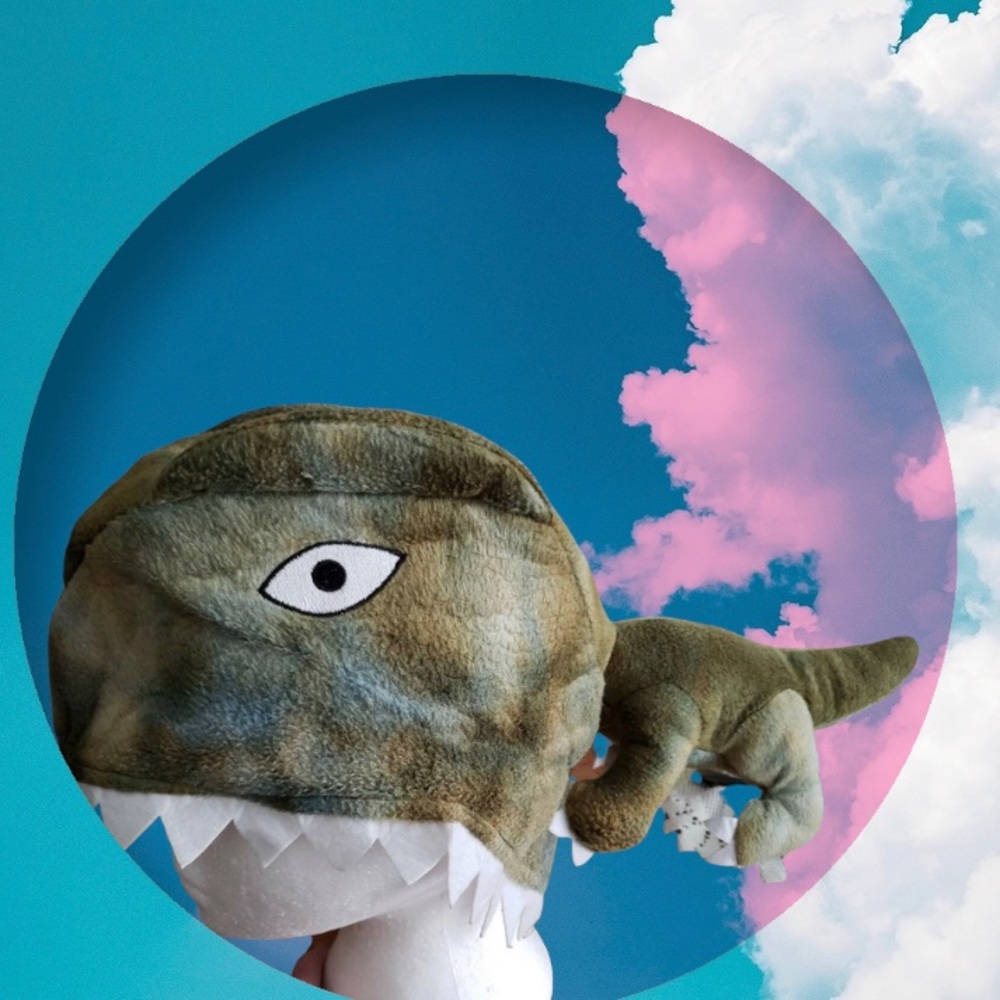 Child’s Dinosaur hat